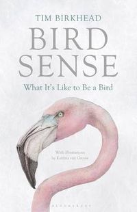 Cover image for Bird Sense: What It's Like to Be a Bird