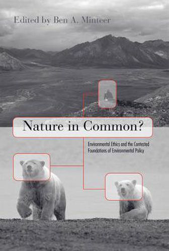 Cover image for Nature in Common?: Environmental Ethics and the Contested Foundations of Environmental Policy