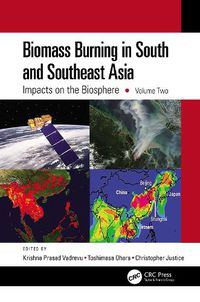 Cover image for Biomass Burning in South and Southeast Asia