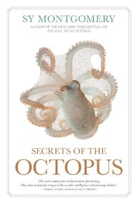 Cover image for Secrets of the Octopus