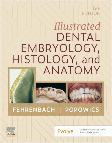 Cover image for Illustrated Dental Embryology, Histology, and Anatomy