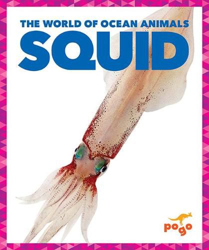 Cover image for Squid