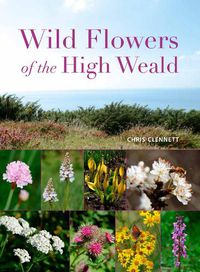 Cover image for Wild Flowers of the High Weald