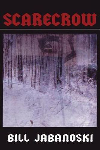 Cover image for Scarecrow