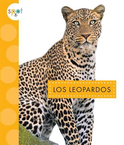 Cover image for Los Leopardos