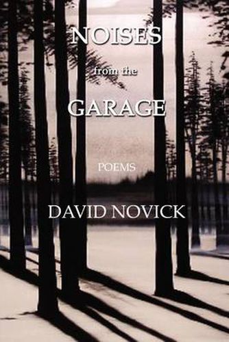 Cover image for Noises from the Garage