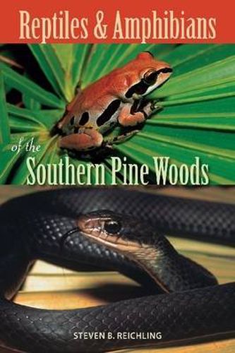 Cover image for Reptiles and Amphibians of the Southern Pine Woods