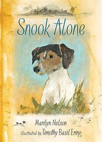 Cover image for Snook Alone