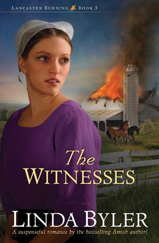 Cover image for The Witnesses