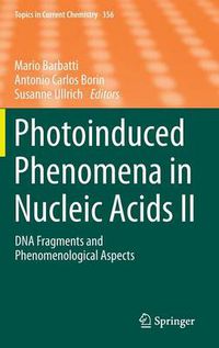 Cover image for Photoinduced Phenomena in Nucleic Acids II: DNA Fragments and Phenomenological Aspects