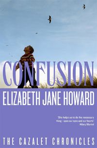 Cover image for Confusion