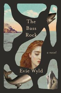 Cover image for The Bass Rock: A Novel