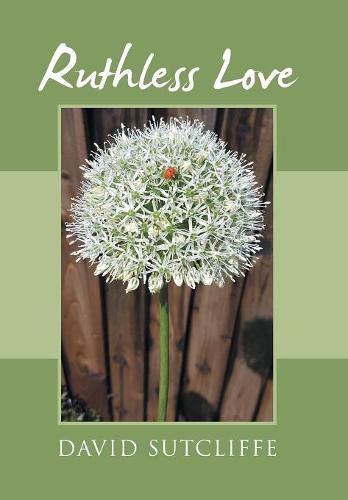 Cover image for Ruthless Love