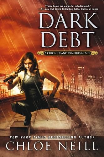 Cover image for Dark Debt