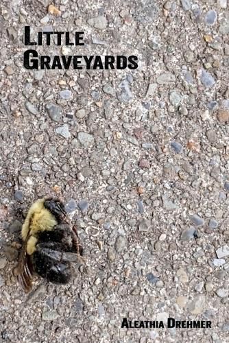 Cover image for Little Graveyards