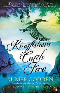 Cover image for Kingfishers Catch Fire: A Virago Modern Classic