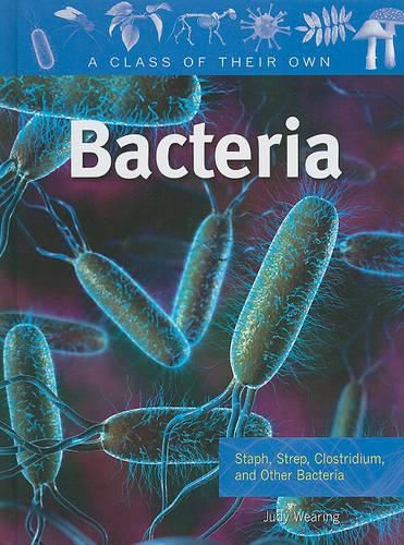 Bacteria: Staph, Strep, Clostridium, and Other Bacteria