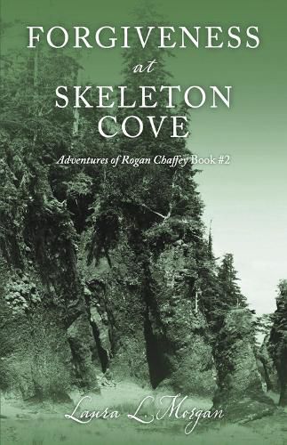 Cover image for Forgiveness at Skeleton Cove