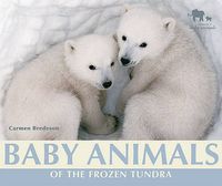 Cover image for Baby Animals of the Frozen Tundra