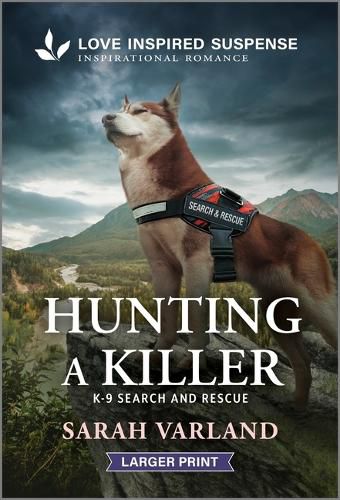 Cover image for Hunting a Killer