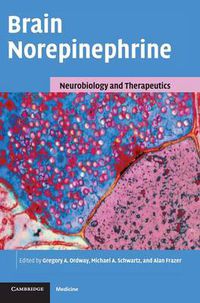 Cover image for Brain Norepinephrine: Neurobiology and Therapeutics