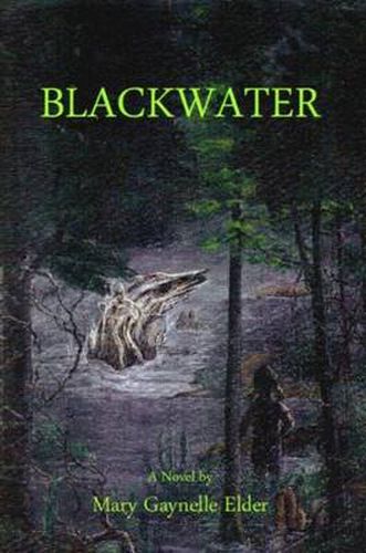 Cover image for Blackwater