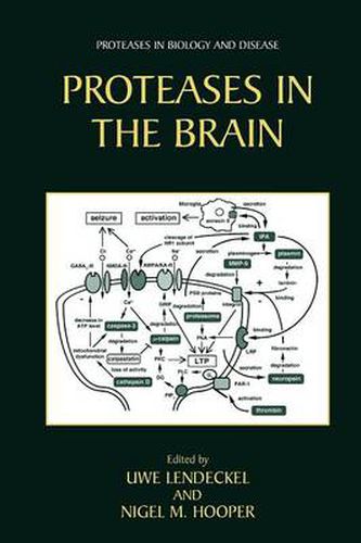 Cover image for Proteases in the Brain