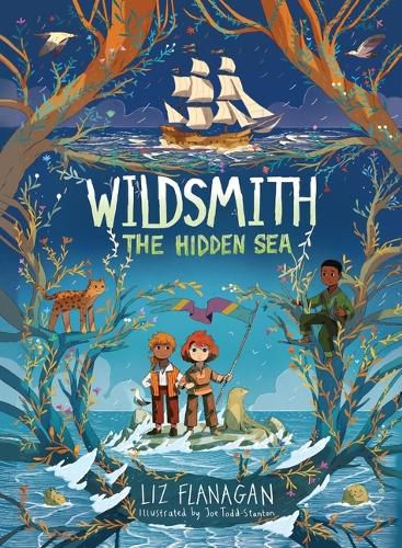 Cover image for The Hidden Sea