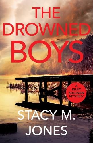 Cover image for The Drowned Boys