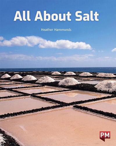 All About Salt