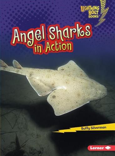 Cover image for Angel Sharks in Action