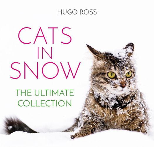 Cover image for Cats in Snow: The Ultimate Collection