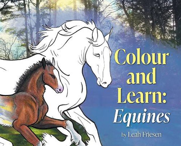 Cover image for Colour and Learn: Equines