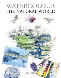 Cover image for Watercolour The Natural World