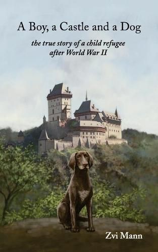 Cover image for A Boy, A Castle and A Dog