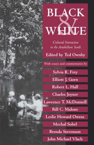 Cover image for Black and White: Cultural Interaction in the Antebellum South