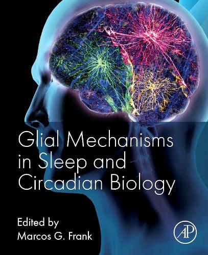 Cover image for Glial Mechanisms in Sleep and Circadian Biology