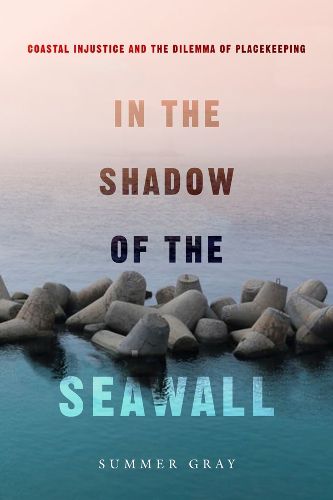 Cover image for In the Shadow of the Seawall