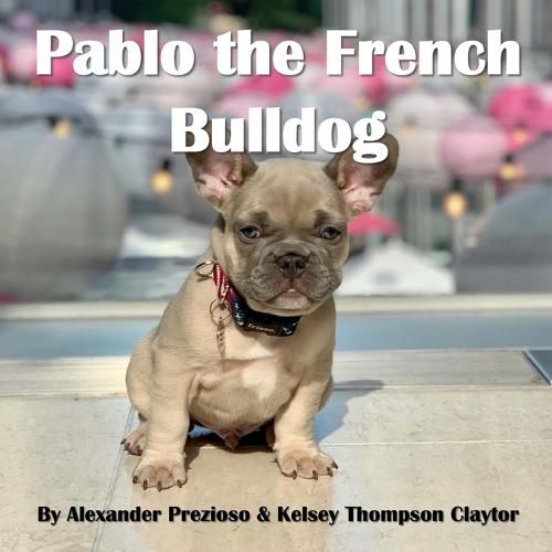 Cover image for Pablo the French Bulldog