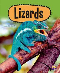 Cover image for Lizards