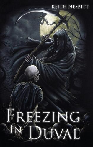 Cover image for Freezing in Duval