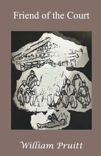 Cover image for Friend of the Court