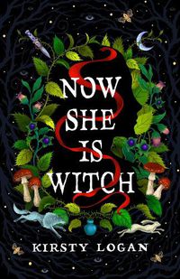Cover image for Now She is Witch