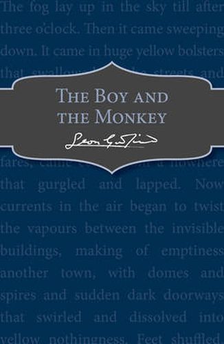 Cover image for The Boy and the Monkey