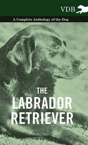 Cover image for The Labrador Retriever - A Complete Anthology of the Dog