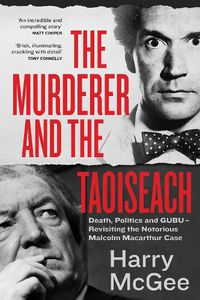 Cover image for The Murderer and the Taoiseach