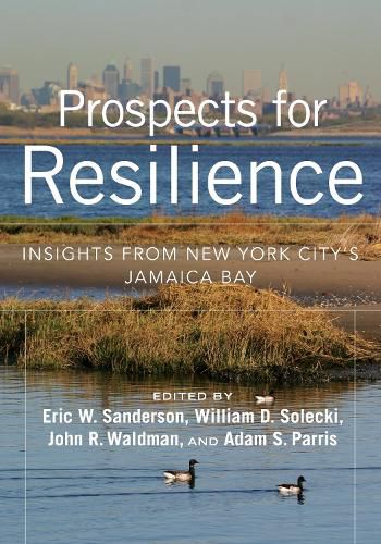 Cover image for Prospects for Resilience: Insight from New York City's Jamaica Bay