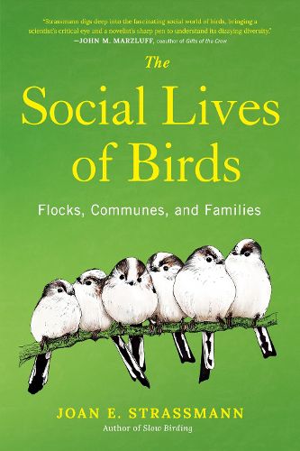 Cover image for The Social Lives of Birds
