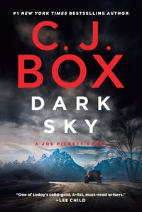 Cover image for Dark Sky