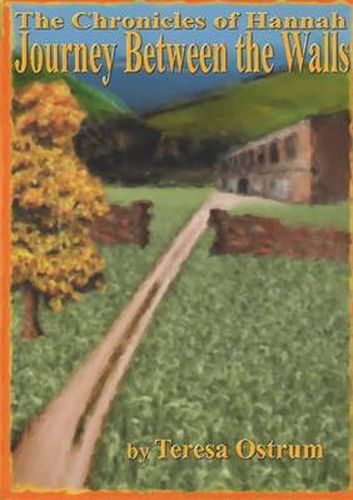 Cover image for Journey Between the Walls